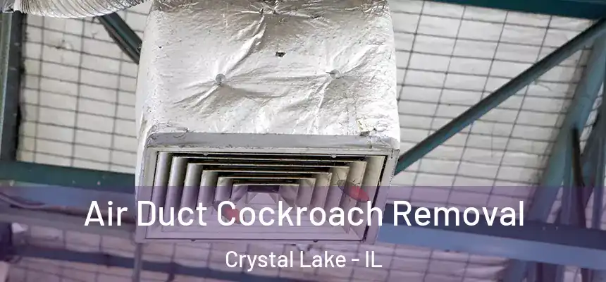  Air Duct Cockroach Removal Crystal Lake - IL