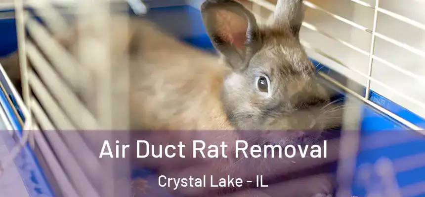  Air Duct Rat Removal Crystal Lake - IL
