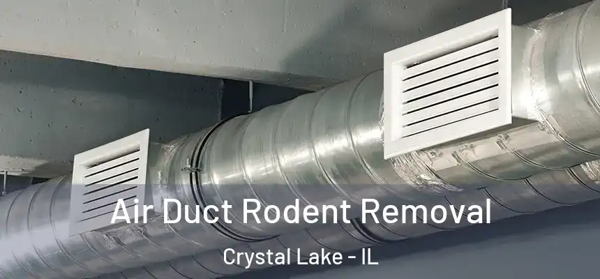 Air Duct Rodent Removal Crystal Lake - IL