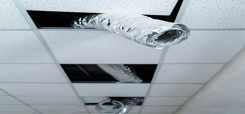 Our Air Duct Pet Hair Removal Services in Crystal Lake, IL