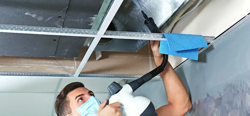 Our Air Duct Rodent Removal Services in Crystal Lake, IL