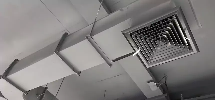 Restorative Allergy Relief Vent Cleaning – Coil, Blower & Housing Detail in Crystal Lake