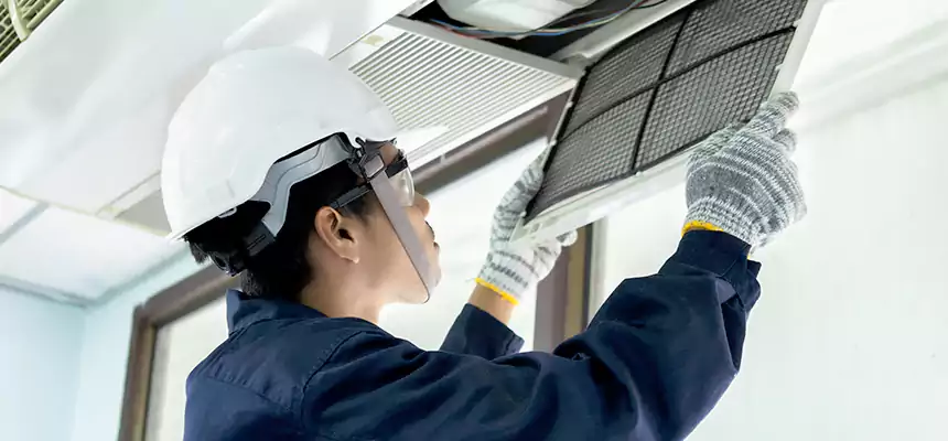 Our Mold & Mildew Removal from Air Ducts Services in Crystal Lake, IL