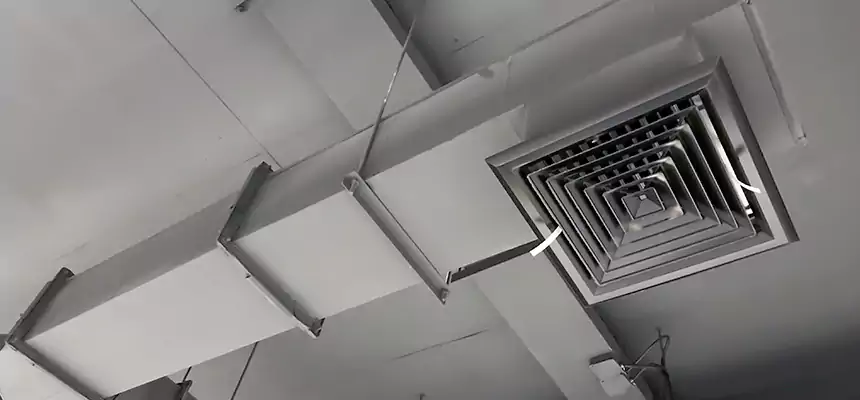 Our Rodent Droppings In Vents Services in Crystal Lake, IL