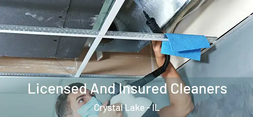 Licensed And Insured Cleaners Crystal Lake - IL