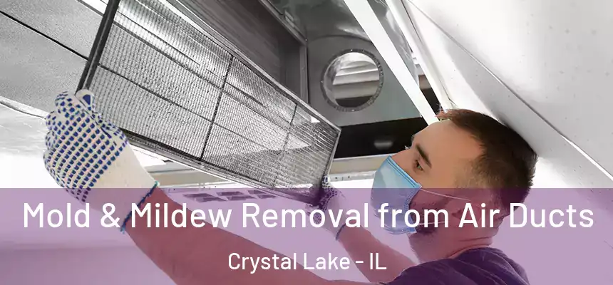  Mold & Mildew Removal from Air Ducts Crystal Lake - IL