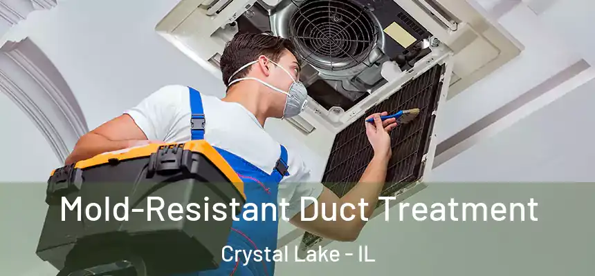  Mold-Resistant Duct Treatment Crystal Lake - IL
