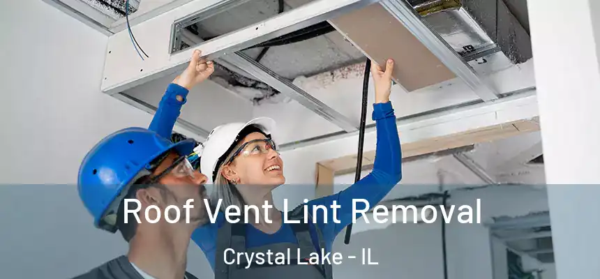 Roof Vent Lint Removal Crystal Lake - IL