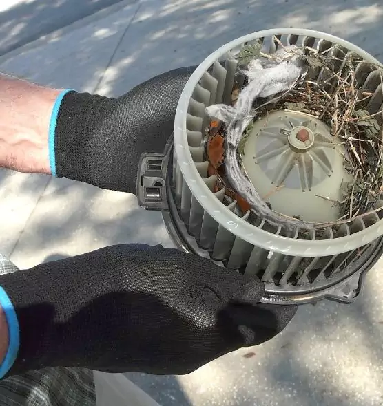 About Air Duct Rat Removal in Crystal Lake, IL