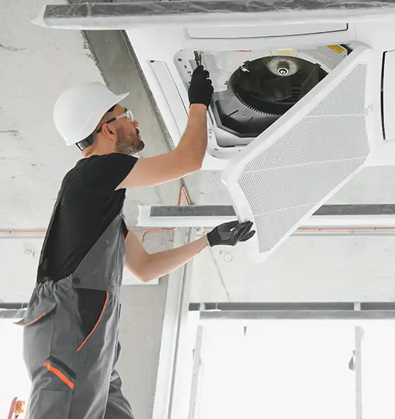 About Air Duct Rodent Removal in Crystal Lake, IL