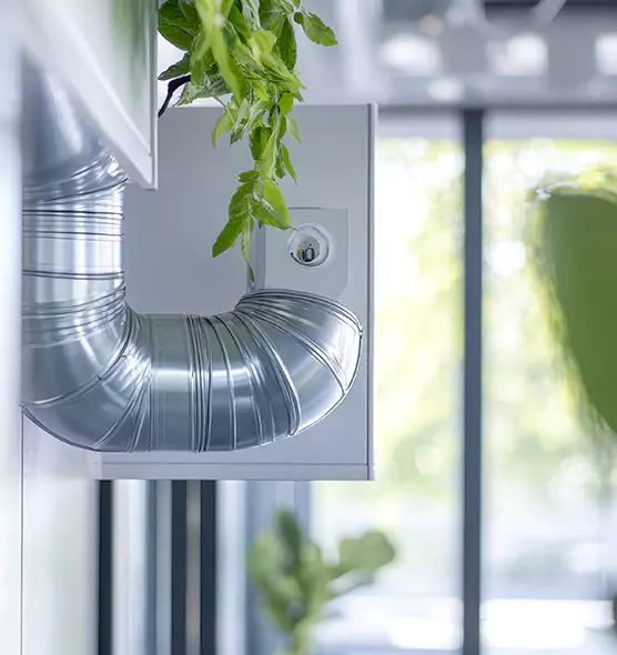 Professional Eco-Safe Dryer Vent Cleaning in Crystal Lake, IL