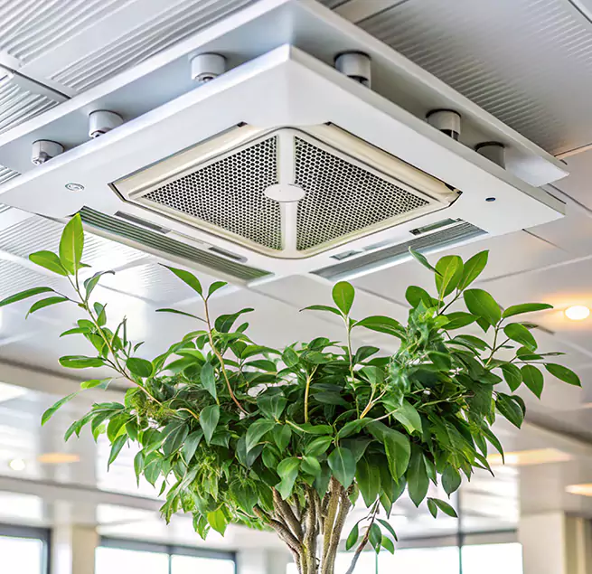 Why Homeowners & Businesses Trust Us in Crystal Lake, IL